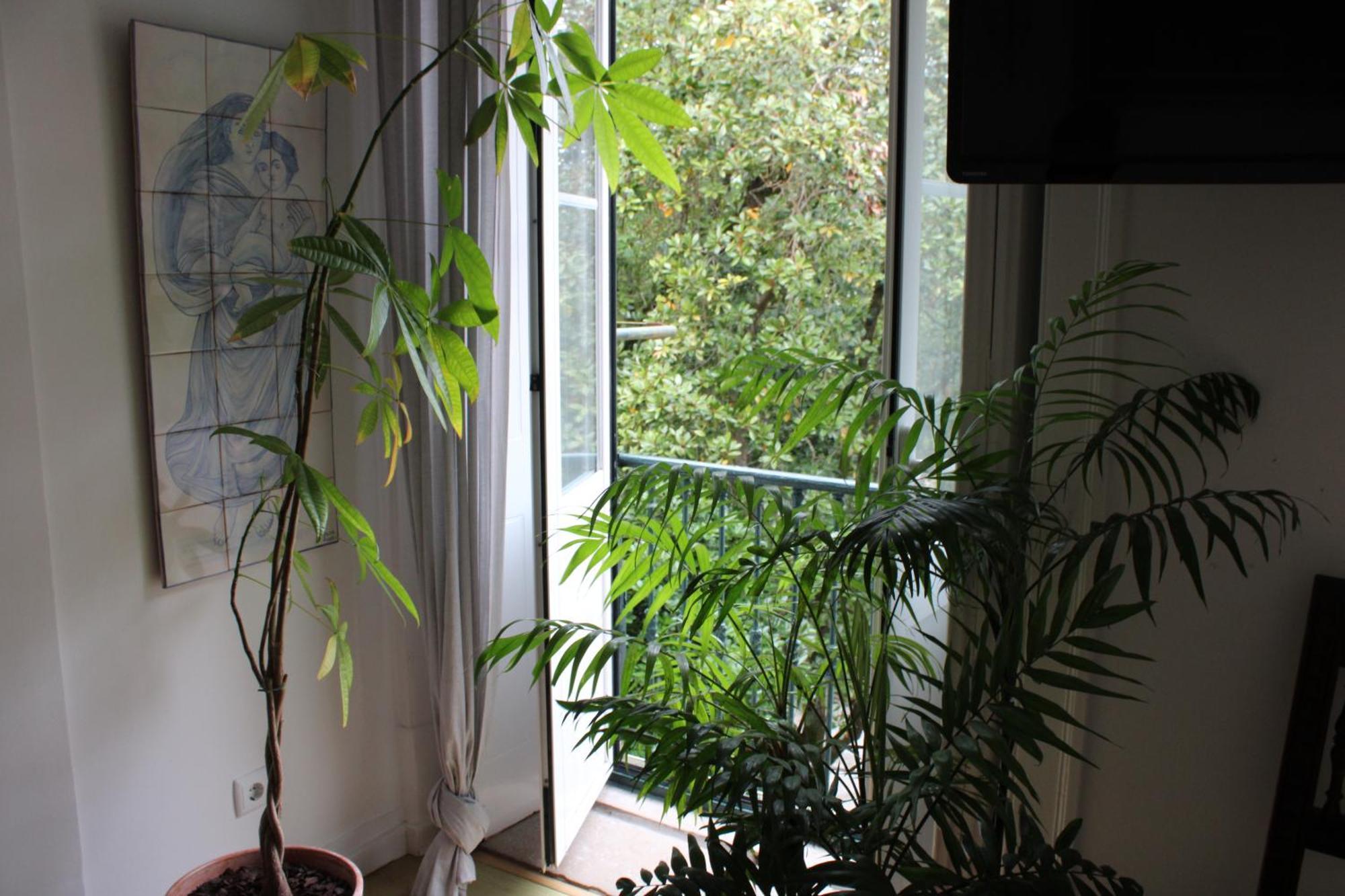 The Point - Sintra 2 Apartment Bagian luar foto
